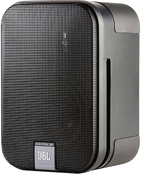 Amazon | JBL CONTROL2 - Control 2 PS schwarz Boxen acusticas